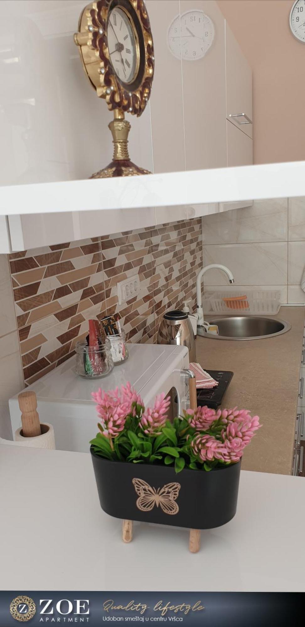 Zoe Apartment Vrsac Eksteriør bilde